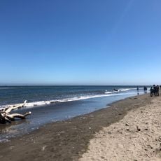 Bolinas Beach