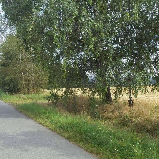 Kříž severozápadně od Chotěmic