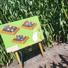 Pop Corn Labyrinthe BORDEAUX