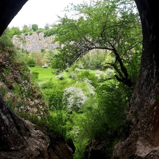 Choveshkata cave