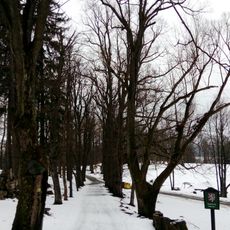 Devět lip v Horní Plané