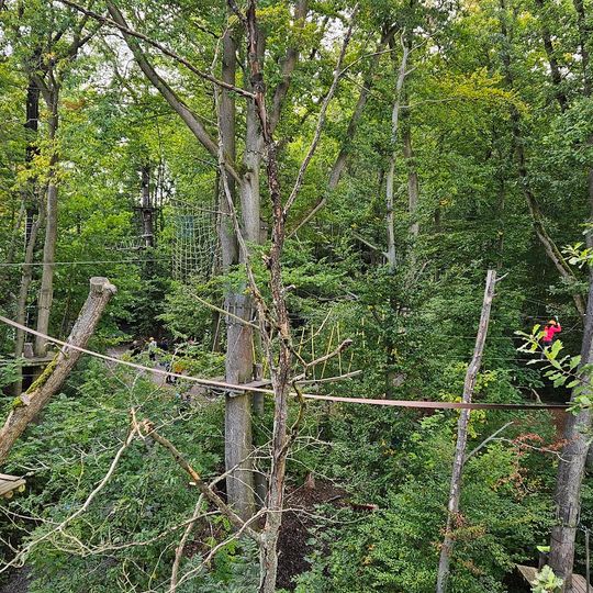 Waldkletterpark Weinsberg