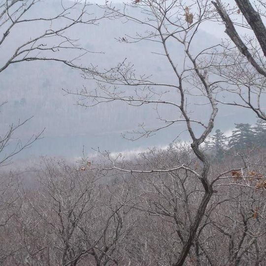 Jardín Botánico de Vladivostok