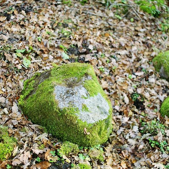 Imbarės akmuo su dubeniu