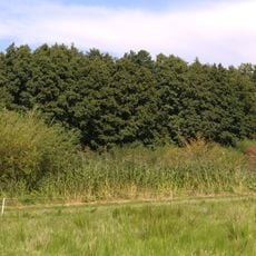 Im üblen Ried bei Wallernhausen