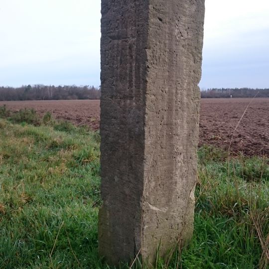Distanzstein Wendisch-Borschütz