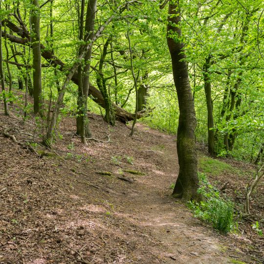 Alt-Sternberg und Steinberg