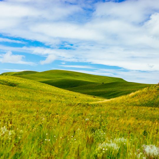 Parco nazionale di Kitulo