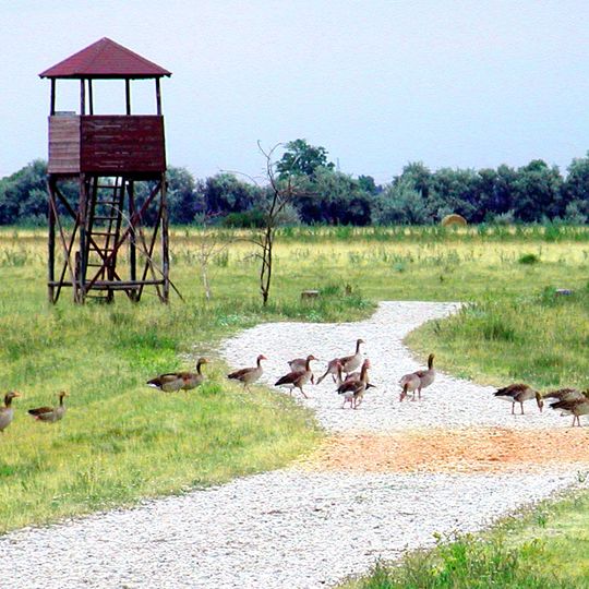 Parc national de Fertő-Hanság