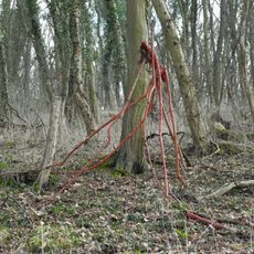 Fraktale Astspinnen