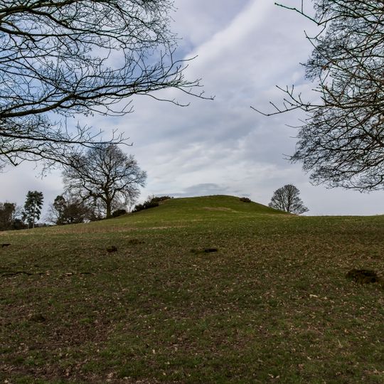 Saxon's Lowe, Tittensor Common