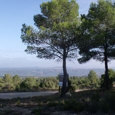 Natural Park River Cabriel