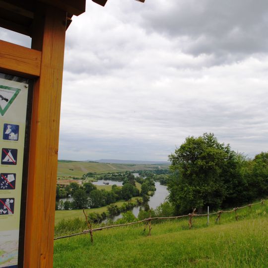 Mainhang an der Vogelsburg