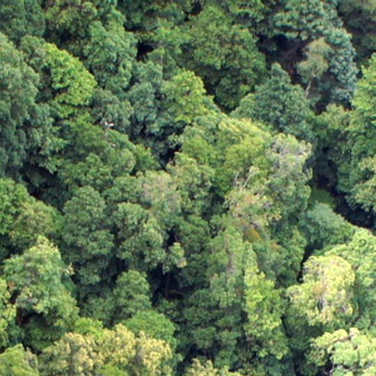 Gran Cordillera Divisoria