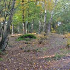 Terrein waarin grafheuvel #45352