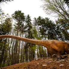 Dino Parc