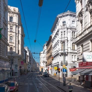 Que faire à Vienne : visites culturelles, vignobles et jardins historiques