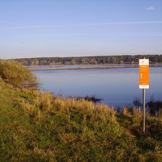 Elbe Marshes