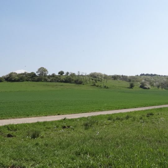 Burg bei Unter-Widdersheim