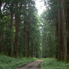 Cedar Avenue of Nikkō