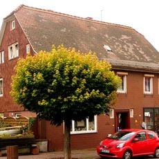 Braunstraße 23