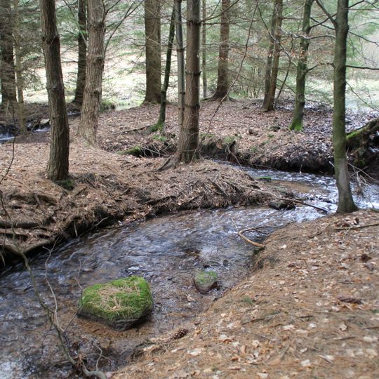 Amphibienfreistätte Sommergrund