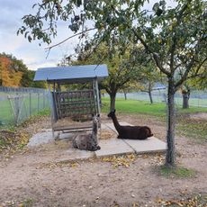 Tiergehege Freudenberg "Rauch-Zoo"