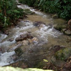 Palmarito