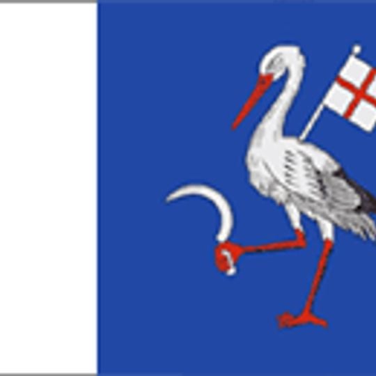 Distretto di Telenești