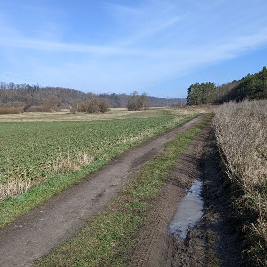 Pohřebiště doby bronzové