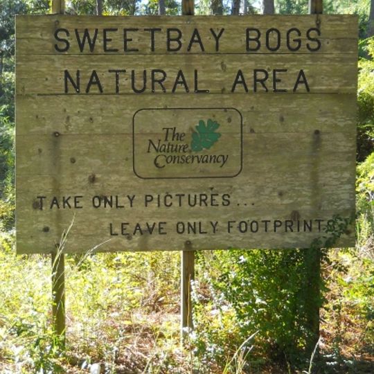 Sweetbay Bogs Preserve