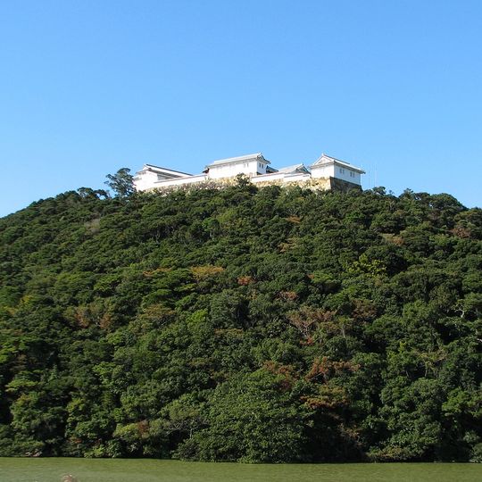 Tomioka Castle