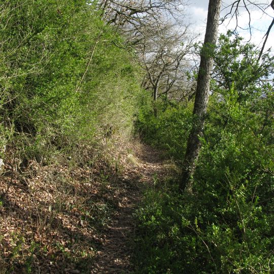 Buchswald bei Grenzach