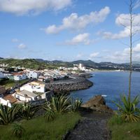 Rosto do Cão (São Roque)