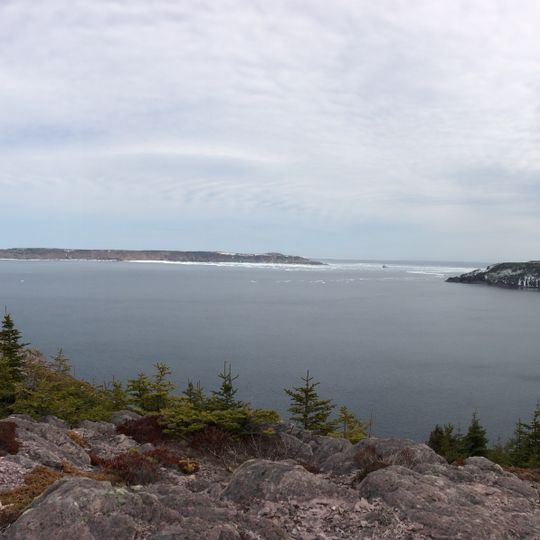 Baccalieu Island Ecological Reserve