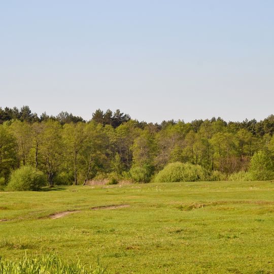 Pryrichnyi nature reserve