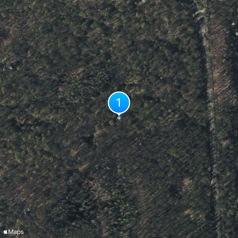 Hambach Forest Map