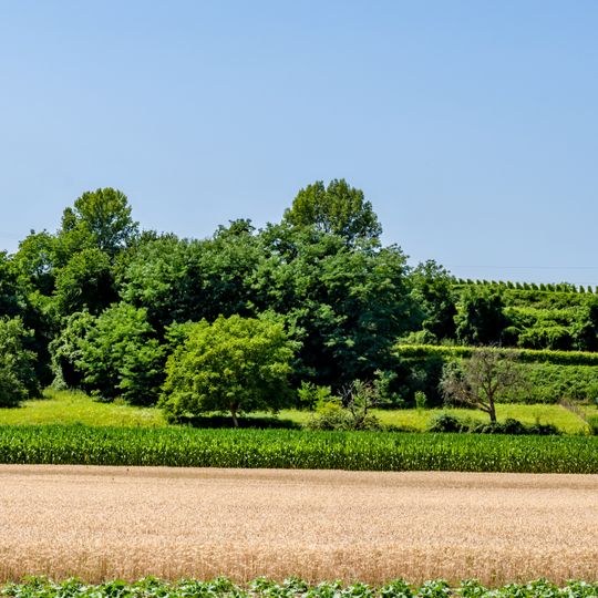 Krozinger und Schlatter Berg