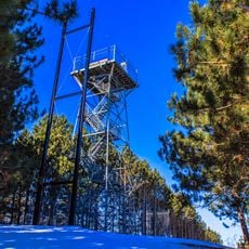 Brown County Reforestation Camp
