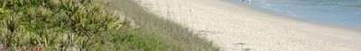 Panoramic View 1