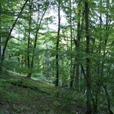 Dědovické stráně