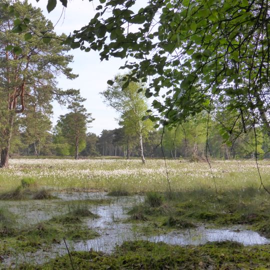 Schwarzes Moor und Seemoor