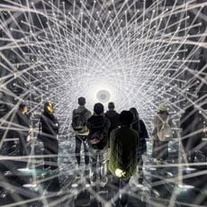 Mori Building Digital Art Museum: EPSON teamLab Borderless