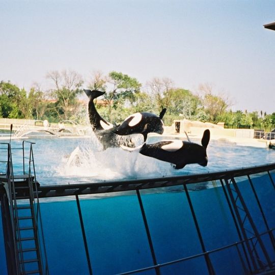 Marineland