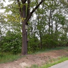 Obrázek východně od Plas