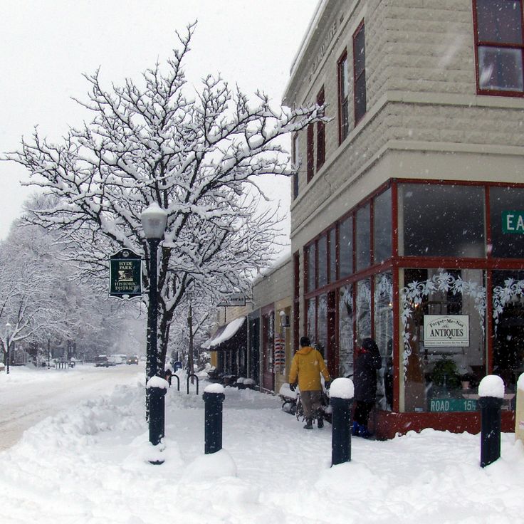 Hyde Park Neighborhood