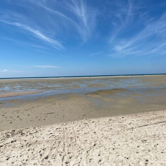 Chapin Memorial Beach
