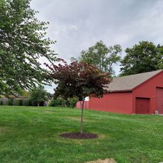 Villa Rosa Terrace Beach