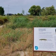 Romeinse weg