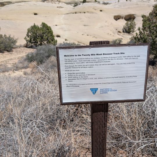 Twenty Mile Wash Dinosaur Trackway